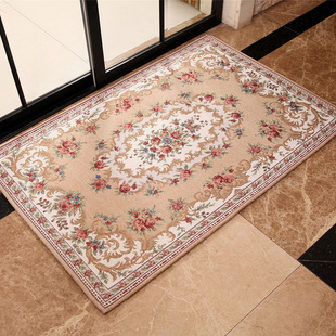 欧式进门地垫客厅入户门垫脚垫子家用室内防滑可手洗厨卫门厅地毯
