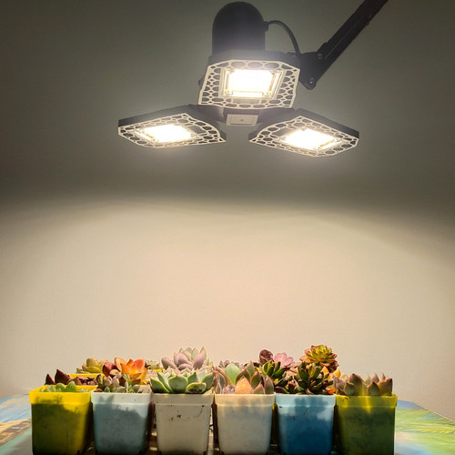 植物生长灯光源led全光谱多肉灯种植灯家用上色防徒植物补光灯架 - 封面