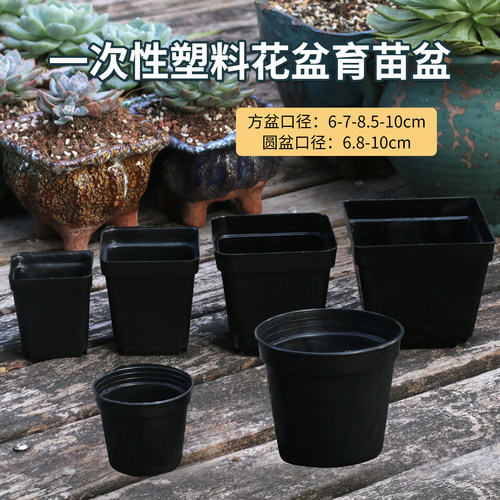 黑色育苗盆一次性多肉花盆塑料薄款种植杯扦插盆7cm方盆10圆形