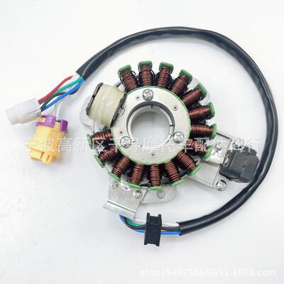 磁电机 磁线圈 适用JS250 250CC Motor Stator 16极 12V