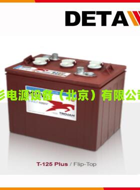 Trojan邱健蓄电池L16G-AC L16P-AC L16H-AC启停型 6V390AH洗地机