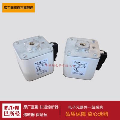 熔断器170M8604 170M8605 170M8606 170M8607 170M8608 170M8609