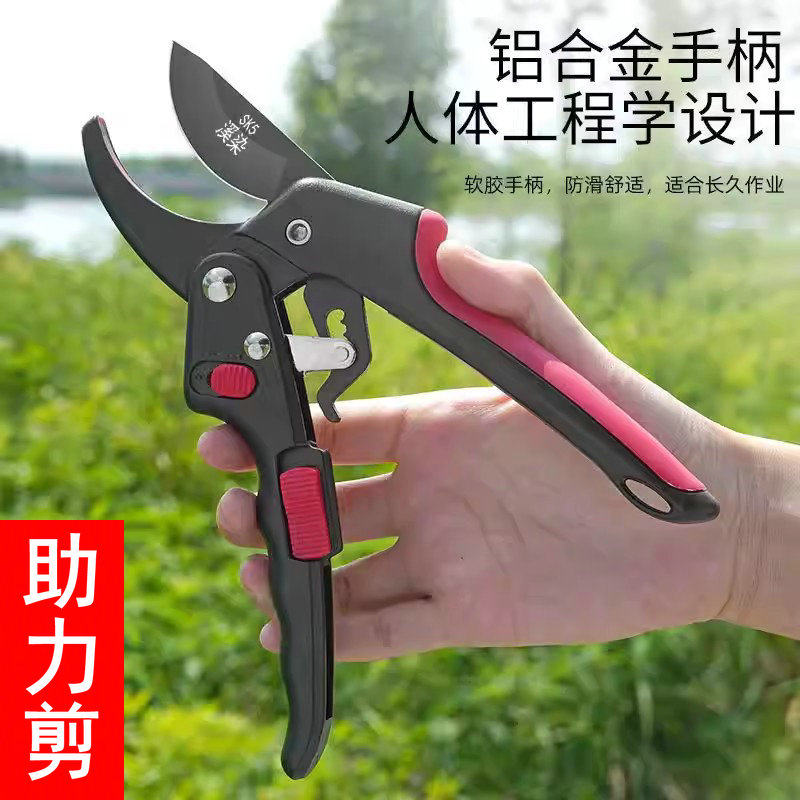 助力果树修枝剪树枝SK5枝剪子粗枝剪枝园林工具花剪修剪园艺剪刀