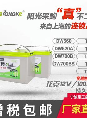 12V/0AH/12电0A0H免维护瓶洗地机1扫地机电瓶配件专用免940维护