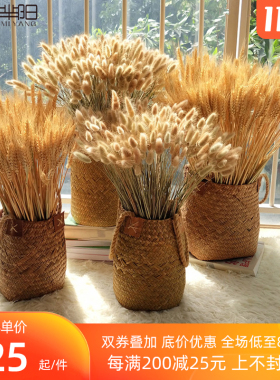 芈阳 天然草编花篮花器花瓶 麦穗大麦芦苇稻谷装饰摆件 干花套装