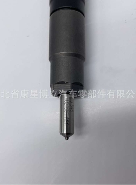 德尔福28559935喷油器总成 德尔福国五喷油器玉柴D5H00精密