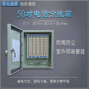 锐良通信50对室外电话分线盒防水电缆旋卡式分线箱壁挂式配线箱