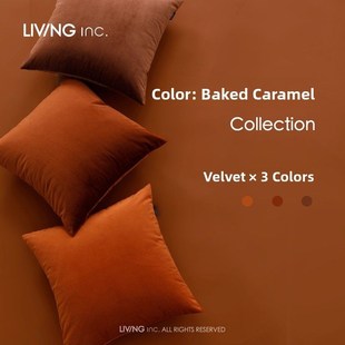 LIVING 天鹅绒抱枕覆古客厅沙发靠垫办公室腰靠枕床上 inc.焦糖色