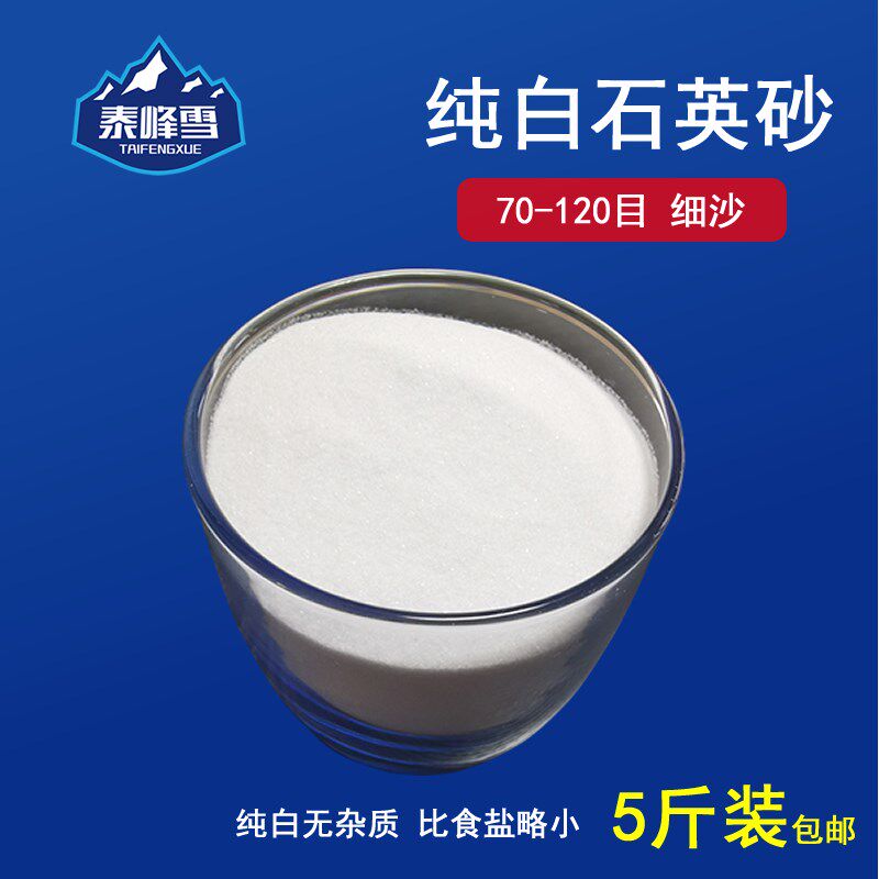 5斤装70-120目高品质超细纯白细沙石英砂白沙细沙子造景鱼缸底砂