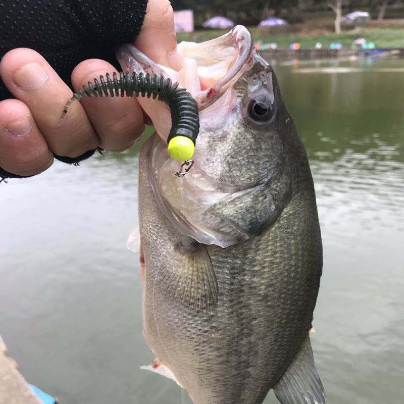 东鼎路亚软饵NED内德弹力针尾浮水虾鲈鱼鳜鱼翘嘴黑坑倒钓钓组