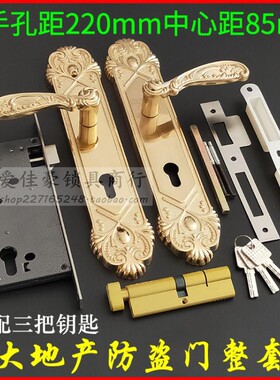恒大华府防盗门整套锁 替换GAOLI入户大门把手220mm 8560双孔锁体