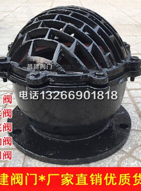 H42X法兰铸铁底阀 水泵单向阀止回阀莲蓬头DN50 80 100 150 200
