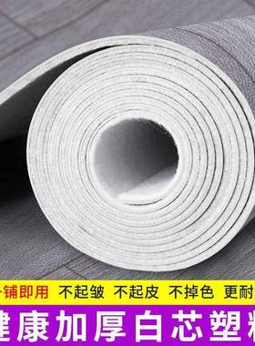 厚地地毯板革水泥地直接铺家HLR用地面铺垫卧室防水垫大地面积加