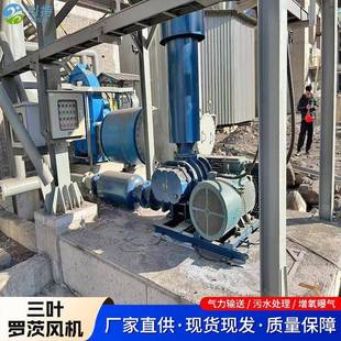三罗茨声风省电804低噪大气量罗叶茨鼓风机气力机输灰风机