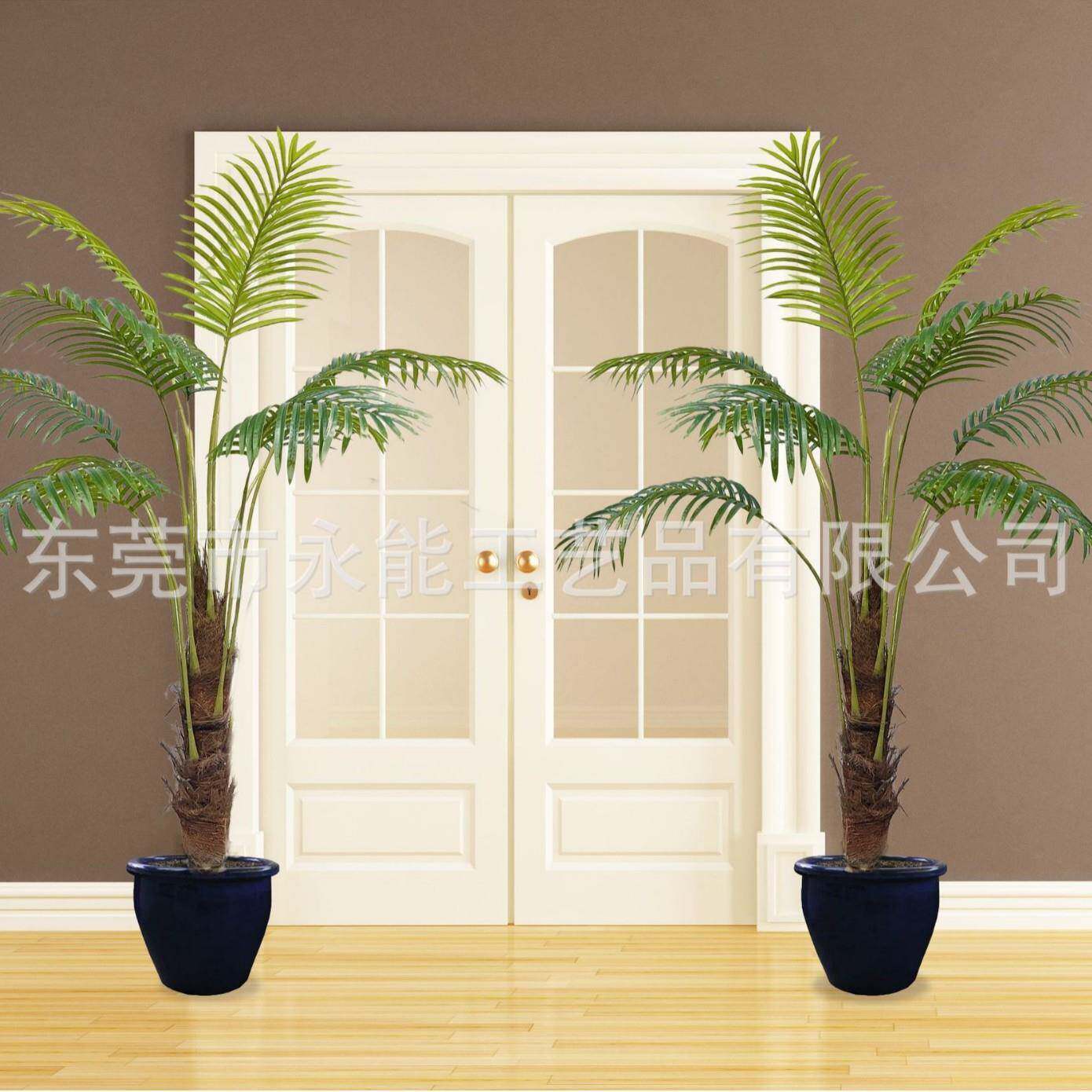 散YN-107尾葵植物客厅大型植办公室真盆花绿卉四栽季