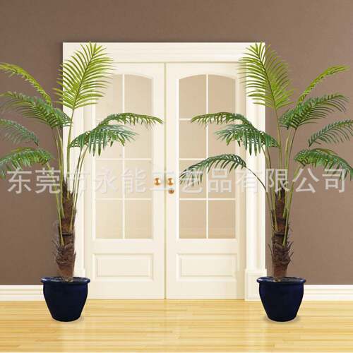 散YN-107尾葵植物客厅大型植办公室真盆花绿卉四栽季
