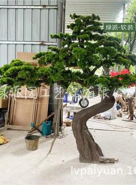 办公室落地人造树盆仿栽河绿道化景观PSG真松柏树松罗汉松迎客松