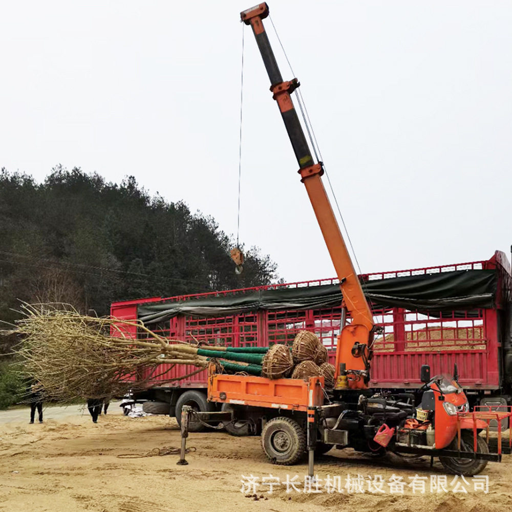 3吨5吨农用三轮随车吊 苗圃吊树小型移动吊机 三马子吊运一体机
