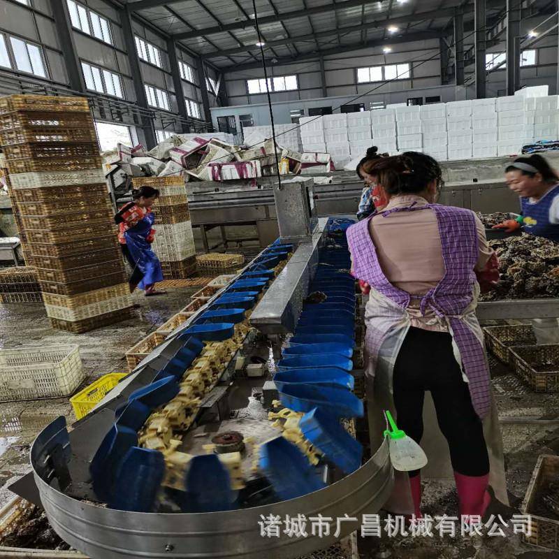 转盘式牡蛎UNR生蚝级八重分拣量机海动蛎子自分拣机