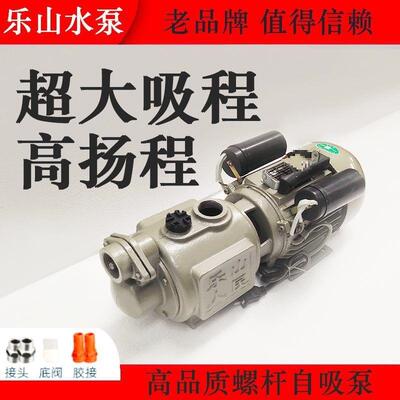 家用6634水深井高吸高程自吸2泵全自动扬程无塔供螺杆大吸力抽水