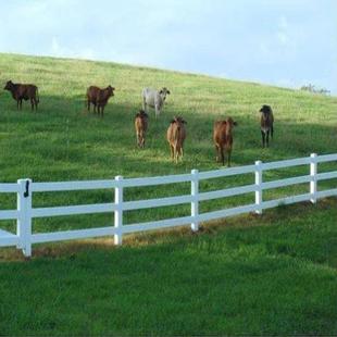 塑钢马场护栏高强度PVC马场围栏草原牧场隔离栅栏牛羊圈防护栏杆
