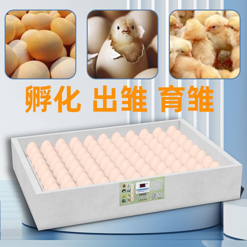 全自动控温一整套孵蛋器小型家用全自动孵化器小鸡水床智能孵化箱