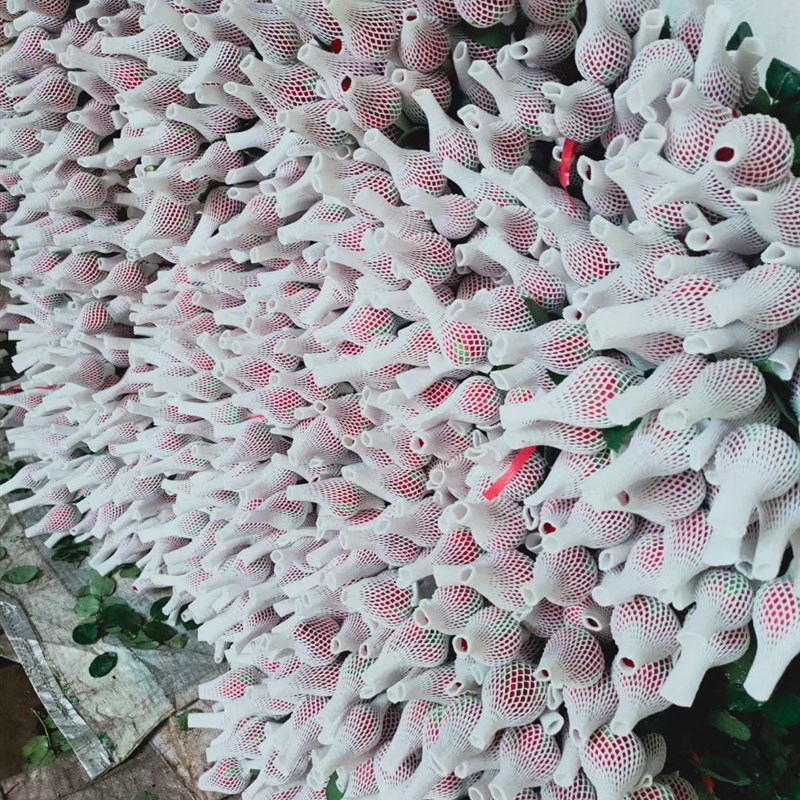 玫瑰花网套月季鲜花花苞珍珠棉泡沫网包装保护网套