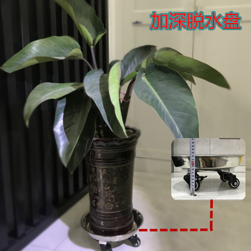 移动花卉/绿植加厚金属圆形带轮底座新款滚轮万向轮活动承重室内