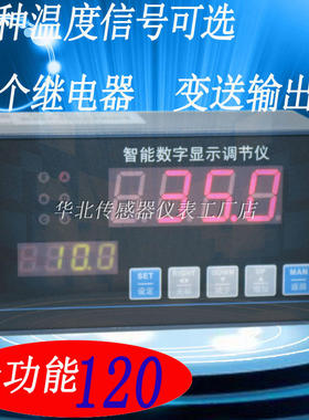 HY1000 温度数显表pt100调节仪K E型温控器4-20mA继电器输出峰值