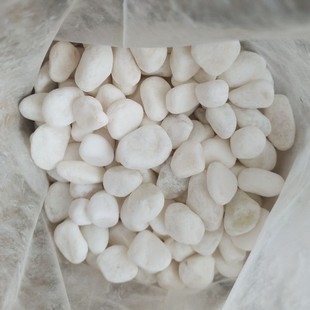 小白石子白色鹅卵石水洗石庭院景观园林造景铺面石天然石头绿植