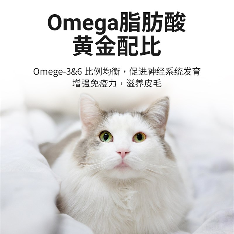 哈维尼猫粮风干牛肉增肥发腮长胖幼猫成猫通用渐层布偶猫缅因美短
