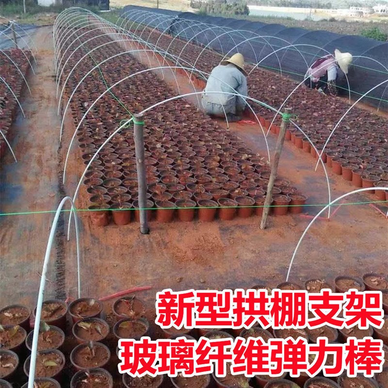 小拱棚支架拱杆竿大棚内棚套棚骨架玻璃纤维杆地膜园艺农用业