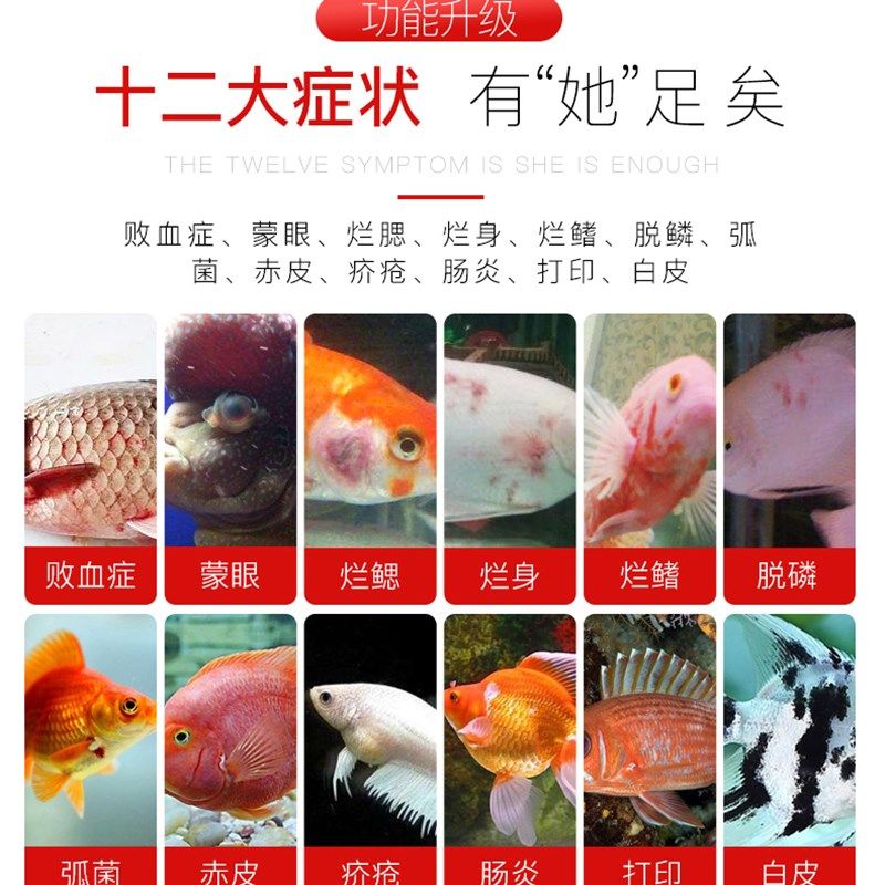 白毛白点净鱼药金鱼乌龟水霉病烂尾蒙眼水族鱼缸观赏鱼热带鱼专用,宠物/宠物食品及用品,其他益生菌,淘宝优惠券,粉丝福利购,淘宝优惠卷