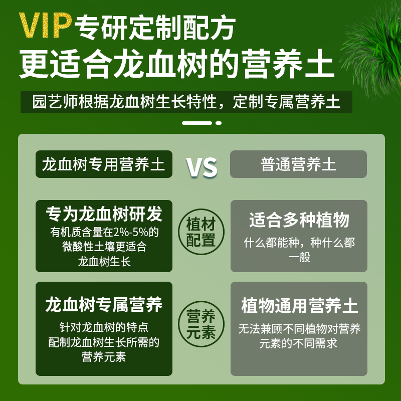 龙血树专用土通用客厅绿植有机土壤龙血树专用肥料土质疏松含菌少