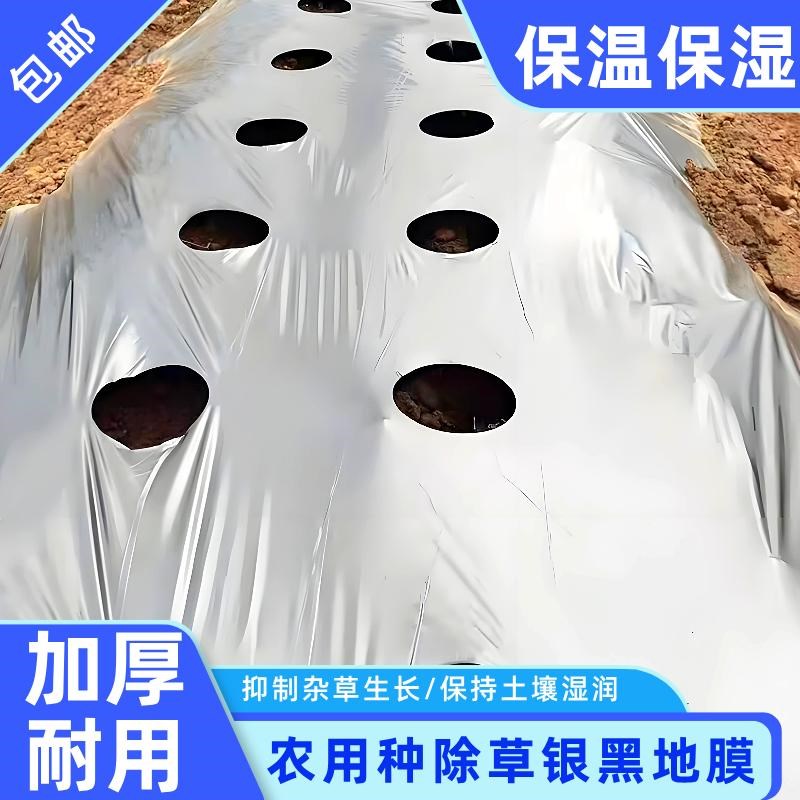 农用带孔打孔银黑地膜防草种菜种植辣椒大蒜药材红薯破膜种植开孔