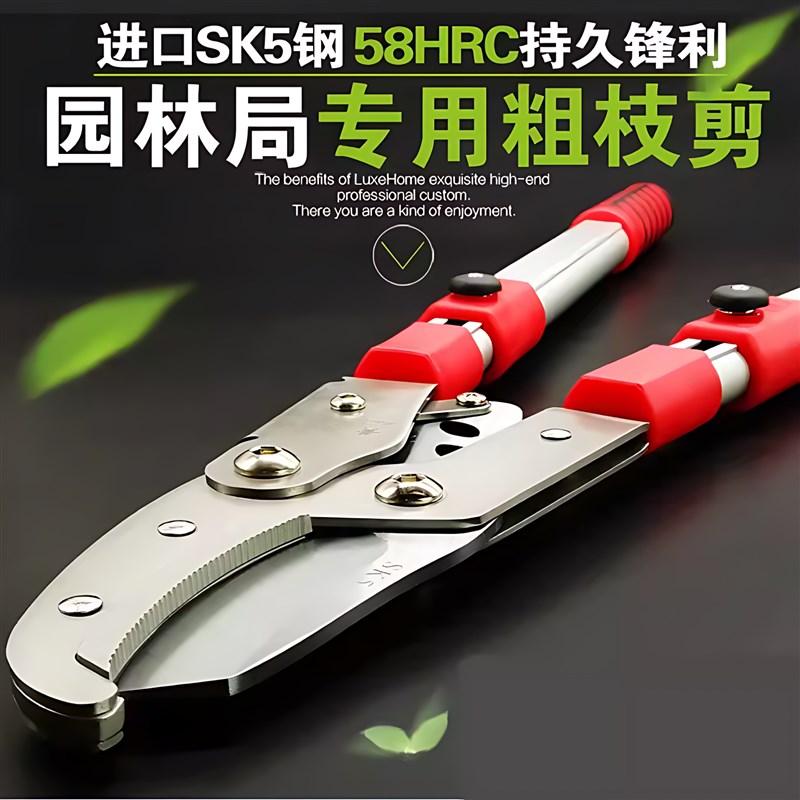 修枝剪粗枝剪高枝剪树枝剪刀果树园艺剪刀伸缩大力剪园林大剪刀