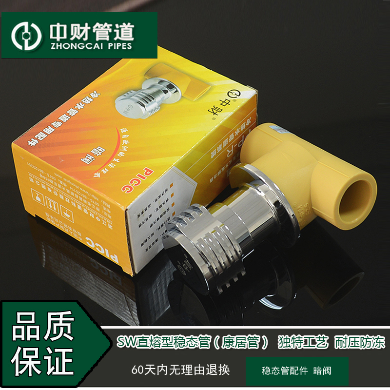 中财管道 PPR冷热水管家装水管配件分20/分 暗暗装门