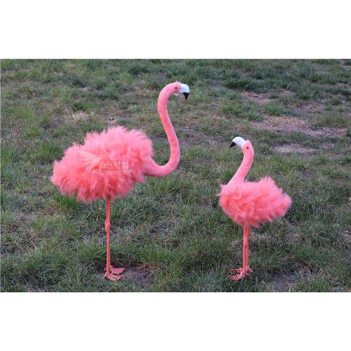 仿真鸟摆件真羽毛花园庭饰院装动物模型家火居婚庆LXA烈影视道具