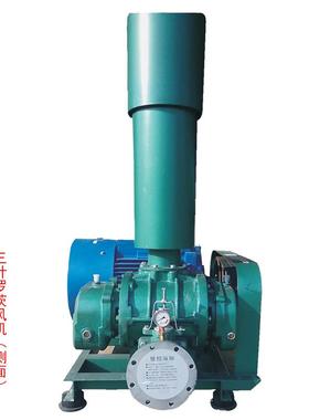 RUEN80口三径12气20-10310转九洲叶罗茨风机污水处理爆罗茨鼓风机