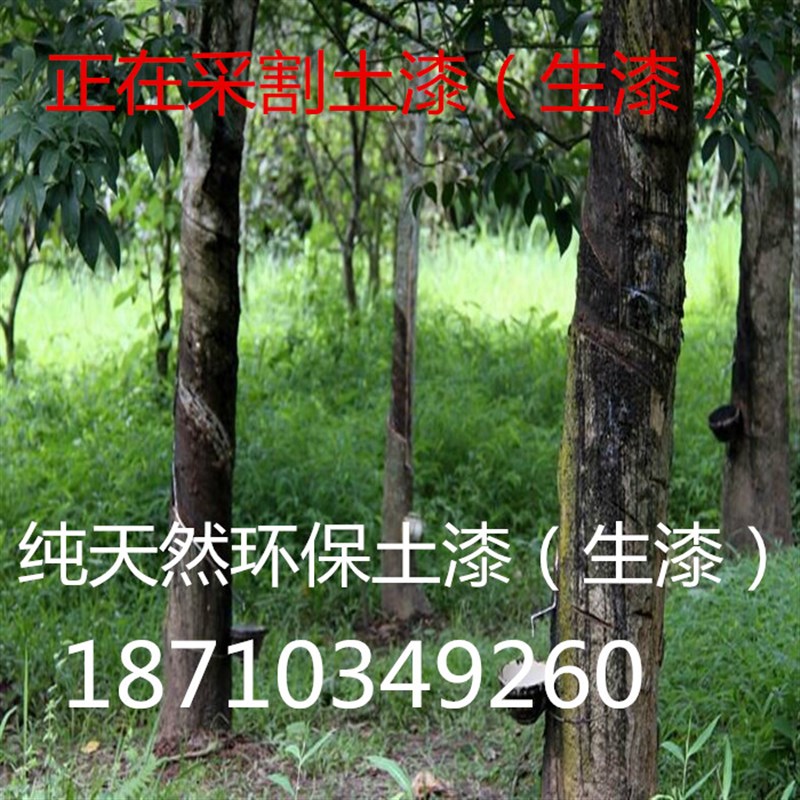 土漆天然漆树漆生漆大漆 陕西漆大木漆 棺材寿材土漆生漆大漆