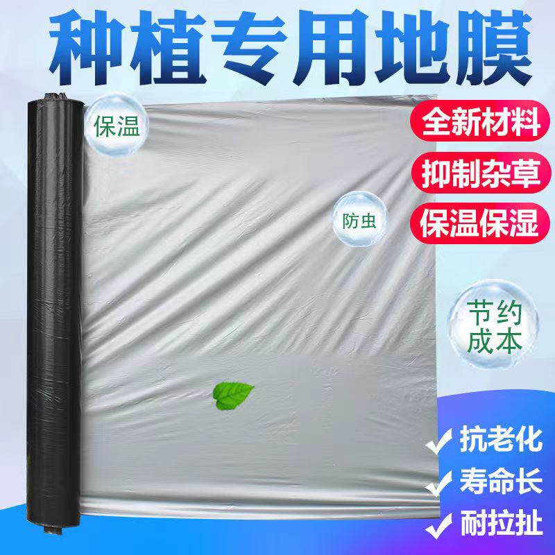 农用地膜银黑反光双色塑料薄膜果园瓜果大棚种植保温保湿防虫除草