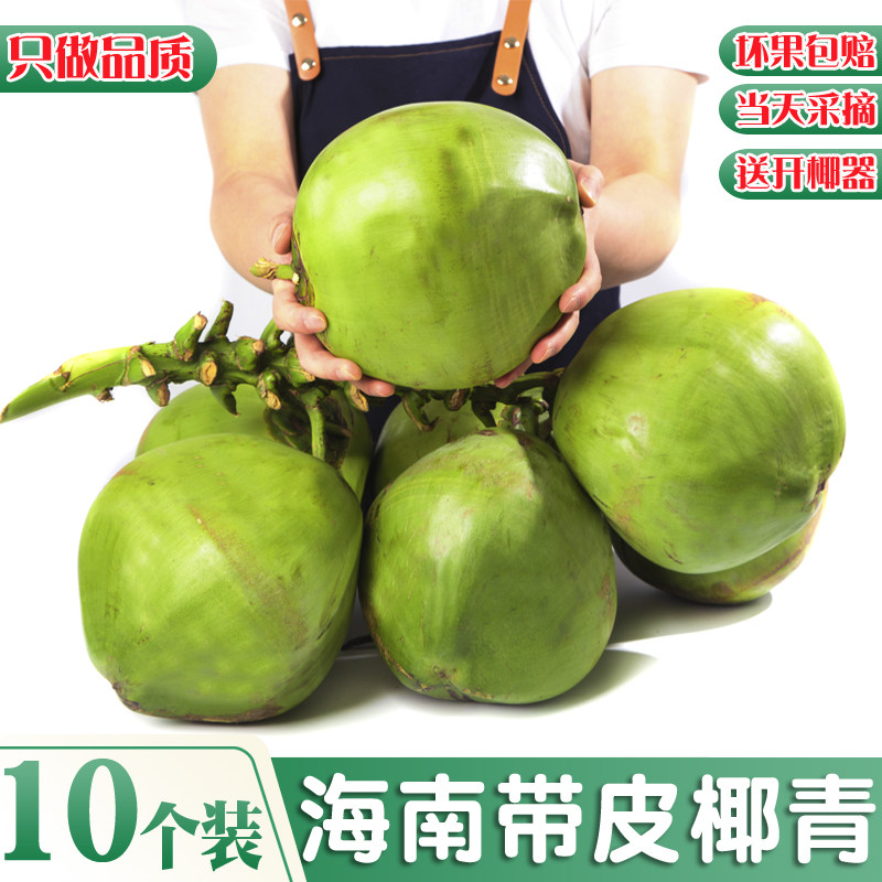 10个装海南新鲜椰子椰青带皮文昌大果嫩纯天然孕妇补羊水现摘水果