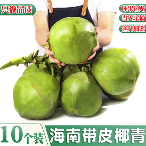 10个装海南新鲜椰子椰青带皮文昌大果嫩青椰汁孕妇水果特产现摘嫩