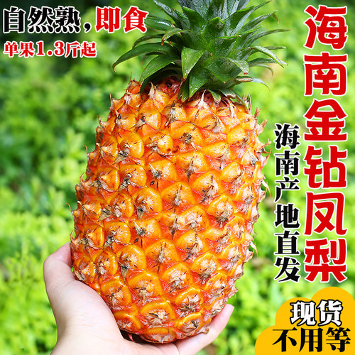 海南金钻凤梨9斤正宗新鲜水果手撕香水菠萝大果无眼脆甜当季特产