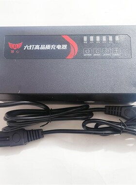 电动车48V60V20A32A45A58A新国标协议插头脉冲修复自动断电充电器
