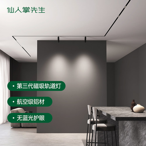仙人掌先生磁吸轨道灯嵌入射灯明装吊装客厅无主灯无边框线条灯