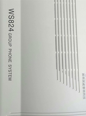 国威WS824(9A)  外包装没有瞭