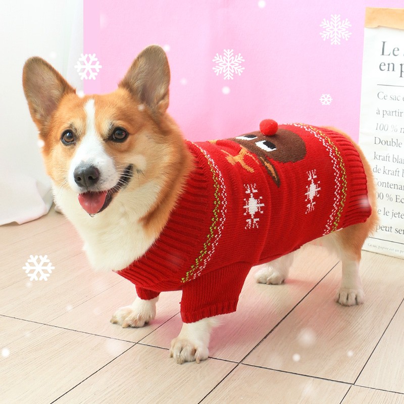狗狗柯基衣服冬装冬天过年毛衣泰迪柴犬冬季秋冬保暖喜庆网红新年