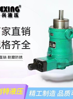 启东合兴10/16/25/32/40/63/80/100/160/250/400YCY14-1B柱塞泵