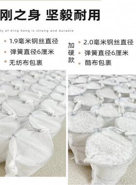 沙发F5M55843弹簧坐垫替换子弹独立发垫垫坐垫沙发垫子坐垫独立弹